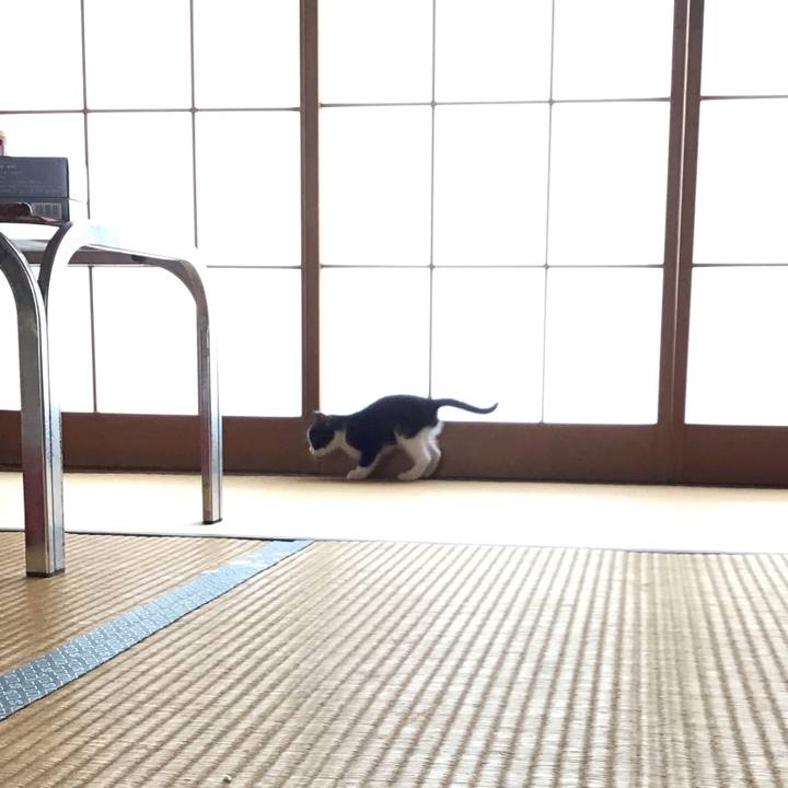 E7567c9f 6316 4ab4 bdaa 012817b71749 1623118335412