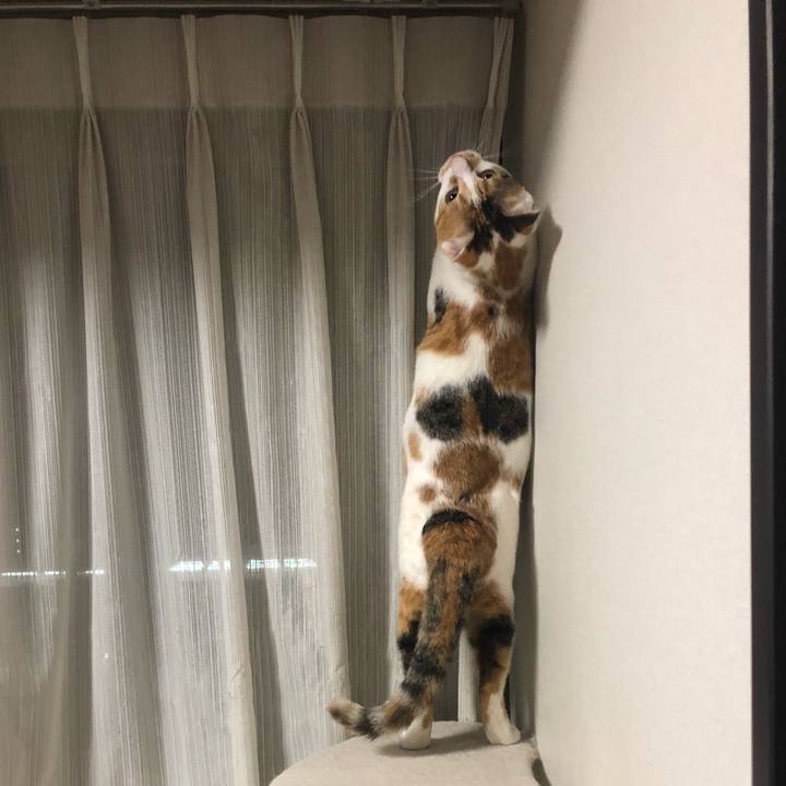 E7569583 4b45 4d35 911e 3ad9813f4727 1584714845349