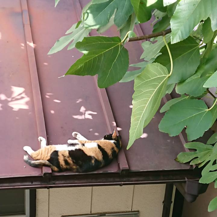 E7569de3 9c90 4419 9ff2 707e72f65094 1538786578542