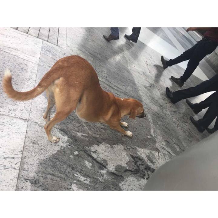 E756b199 59f9 4ff2 8754 a59f27633566 1539677141793