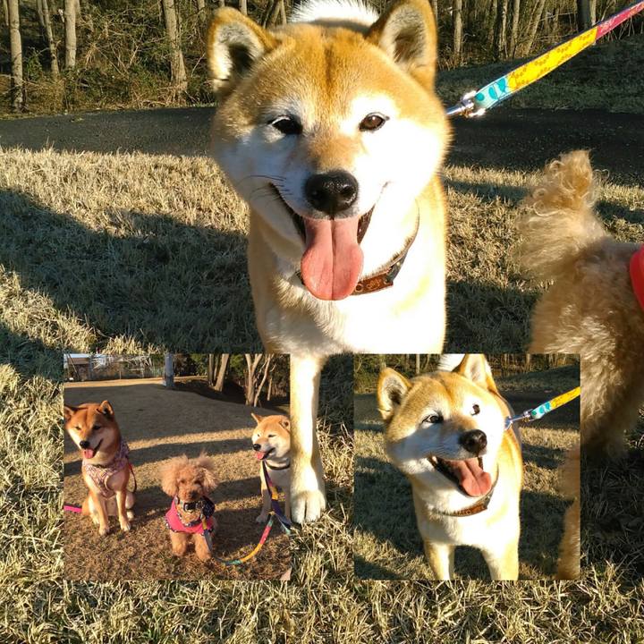 E756e033 4099 4c0e 9b58 becd89174cf8 1520843939513