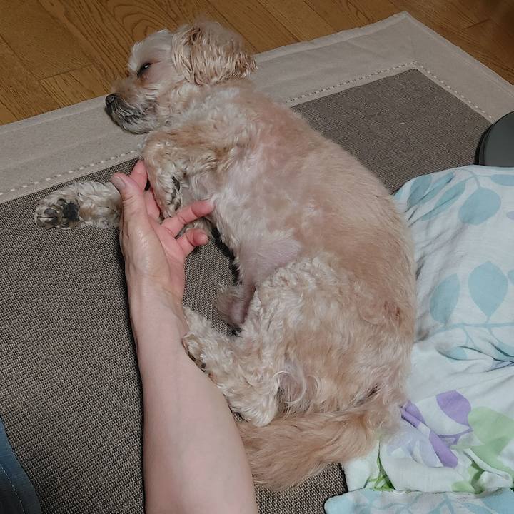 E756e7aa 6d8b 4b3d a3e2 b5daec5f14f7 1724739218203