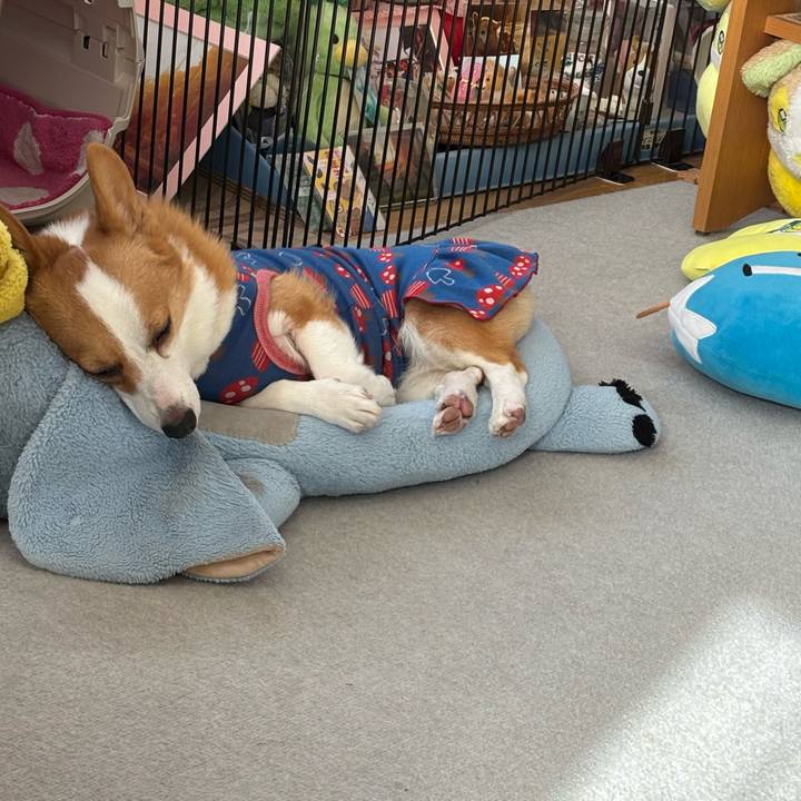 E756fc8f 1709 49f1 9378 6cbe4d3d26cd 1763957396886