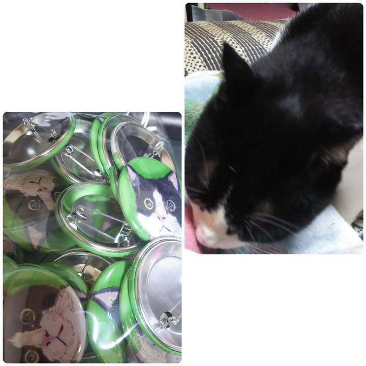 E75714c9 9114 4cb2 8317 203787c6ad59 1573077306705