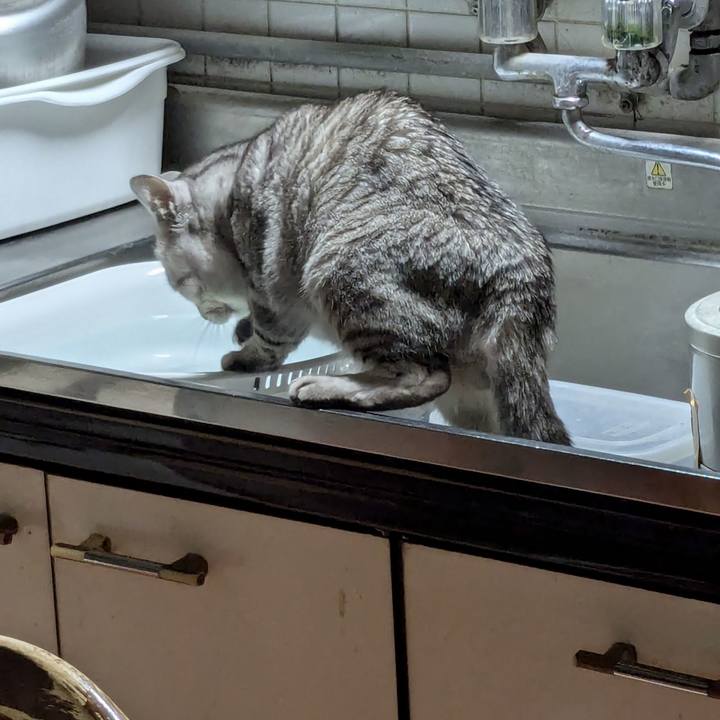 E75720a4 3172 4c1f 932a 954d862a07d0 1733241452375