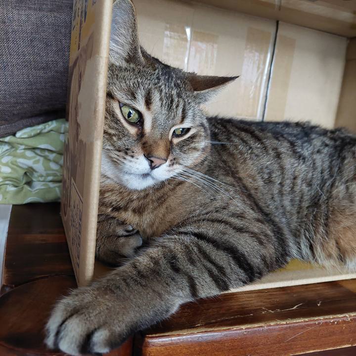 E75753a1 9720 43f7 9f57 2c4706f849d9 1681682355257