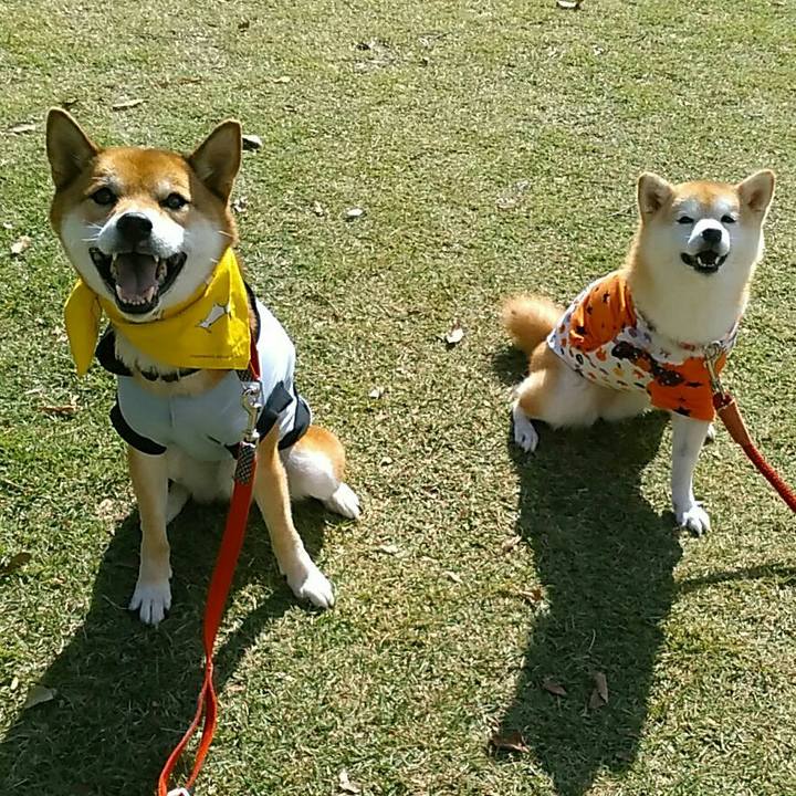 E757650c 9d01 41bc 8f51 9d024f584649 1572096616874