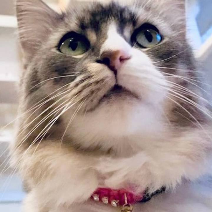 E757aa4c b929 4eb1 91e0 0976688187fc 1753803960635