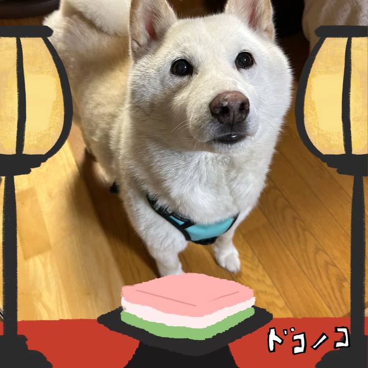 E757b950 535e 4e7a a20f bfbe128d749f 1741425873629