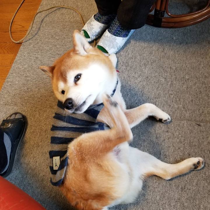 E757bfd9 9624 4175 b451 0653427e7b92 1611789441983