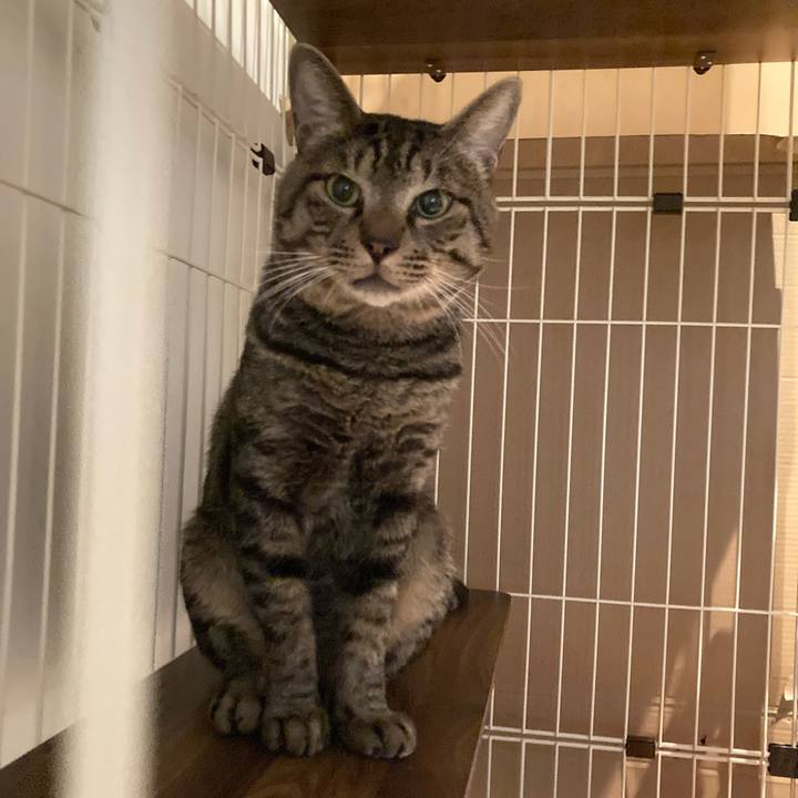 E757f1ed 228c 4c3c b6d0 905dd34d6970 1662466811753