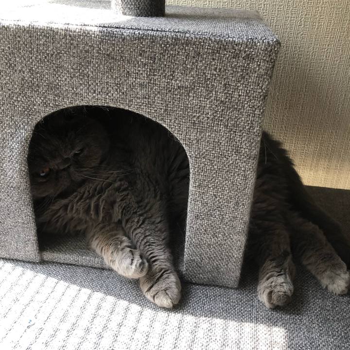 E7581569 7176 4e36 afce 07ca58533650 1564792801128