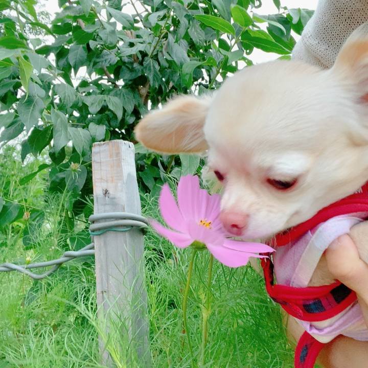 E7582ecd c0f6 4ea6 84de ca97212da33c 1624872388682