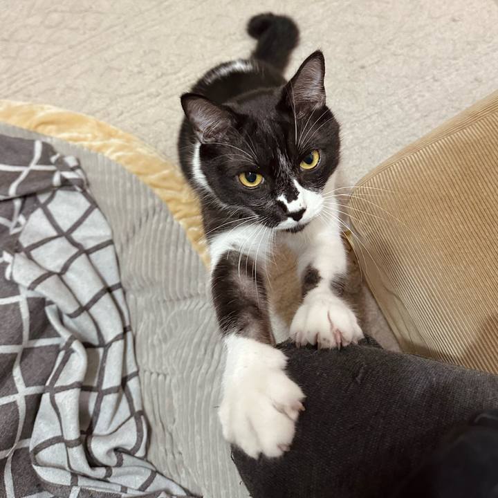 E7583352 d5b2 4382 bd0b e9190baf86f2 1764944327042