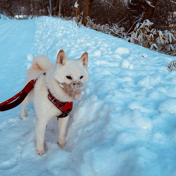 E75834c7 e879 4d4c 85d2 876ed53288f6 1703047816396