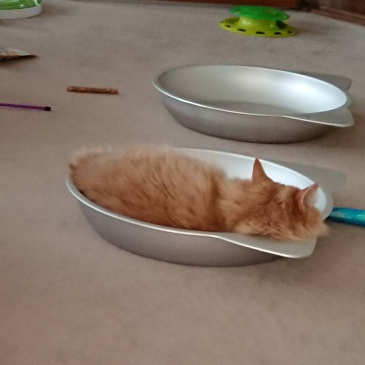 E758412e 29ee 46d3 9ced db1d805923d5 1533951446264