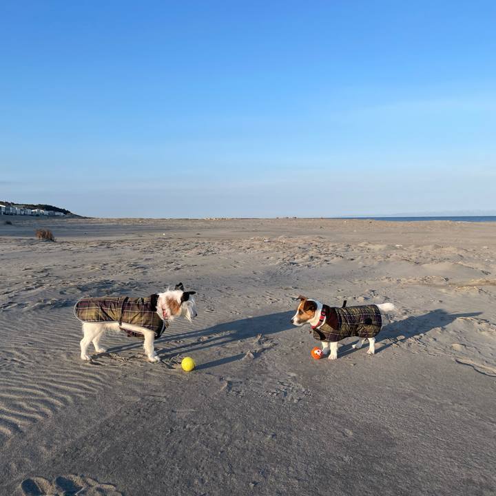 E7585562 436a 4339 9a3b 3161a3ee5deb 1771631309844