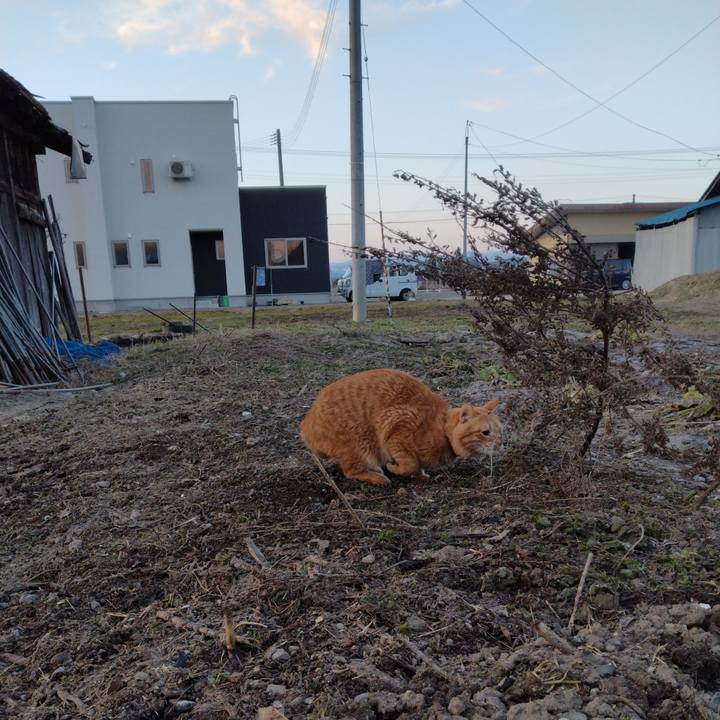 E7589ac9 b352 4007 ad8e 2f4e0ec849ec 1679348761828