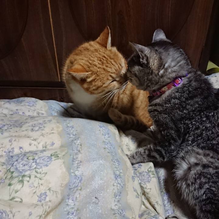 E7590ecb 7350 4757 8e60 ae1b9a4437ba 1580300812519