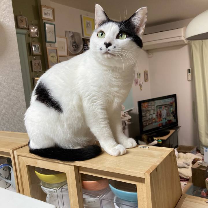 E75910fd f73e 4b0e be2e d24dec3007de 1768855562301