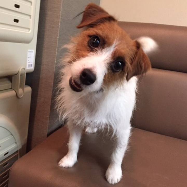 E7597e43 60cc 4381 872f 6638f69c4929 1631443604209