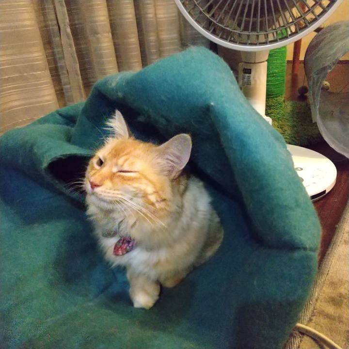 E75999df 4d0c 42a1 88d7 4633dd067b28 1633092093769