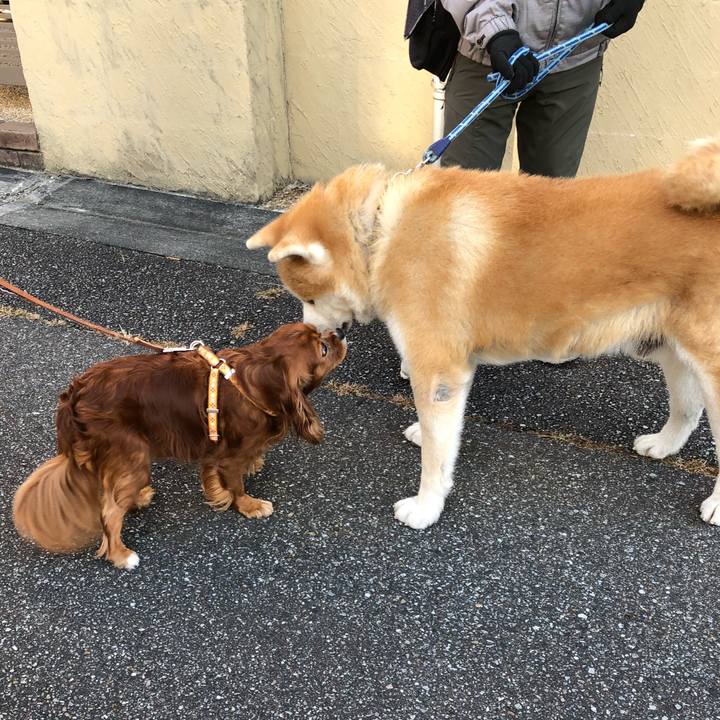 E759c537 cced 4f55 b1d5 e5aa4ae6af87 1635895944308