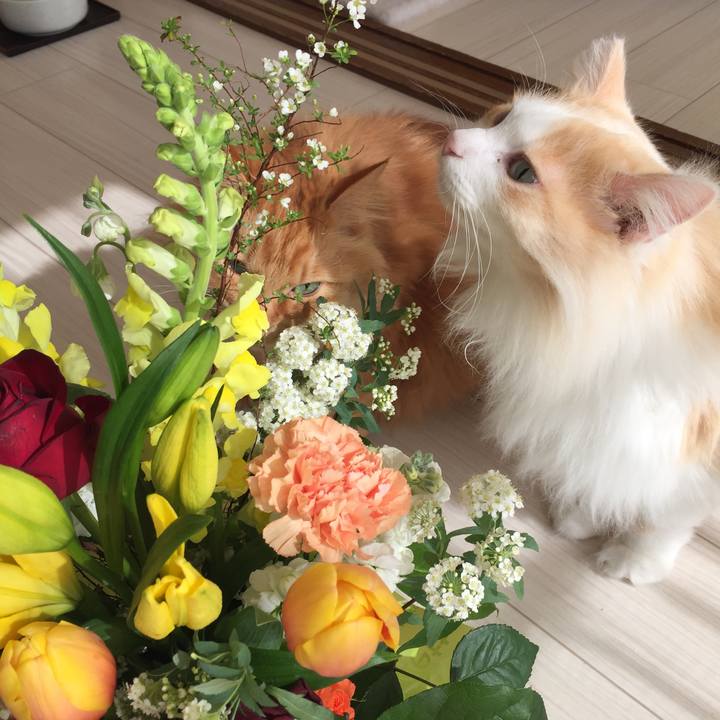 E759c908 c77b 4bbf b126 d143a0d48cdf 1521239312589