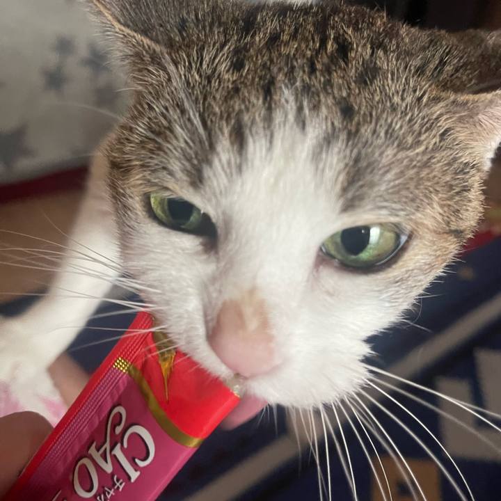 E759e649 4677 4587 83de 5e4471e0e6b5 1692190426575