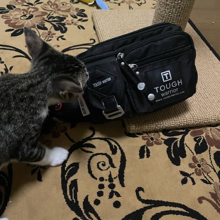 E759ebb0 cb2a 4943 907f 7329e1f3917d 1723733358528