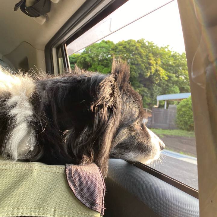 E75a0ac1 7e4c 42d7 9dcb 2e9dc7a116df 1654638712925