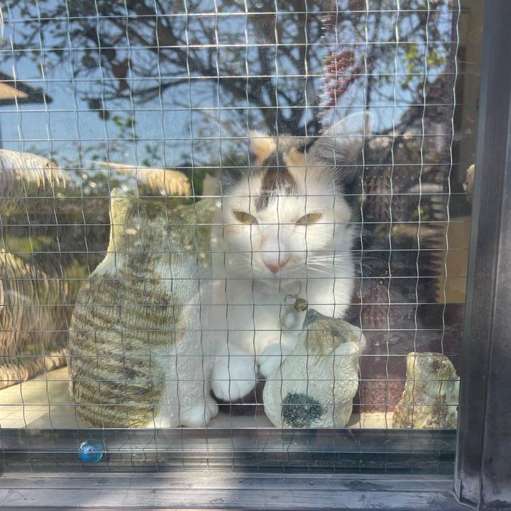 E75a69e0 8087 4dd8 b53e 62f76e5270dd 1697416750829