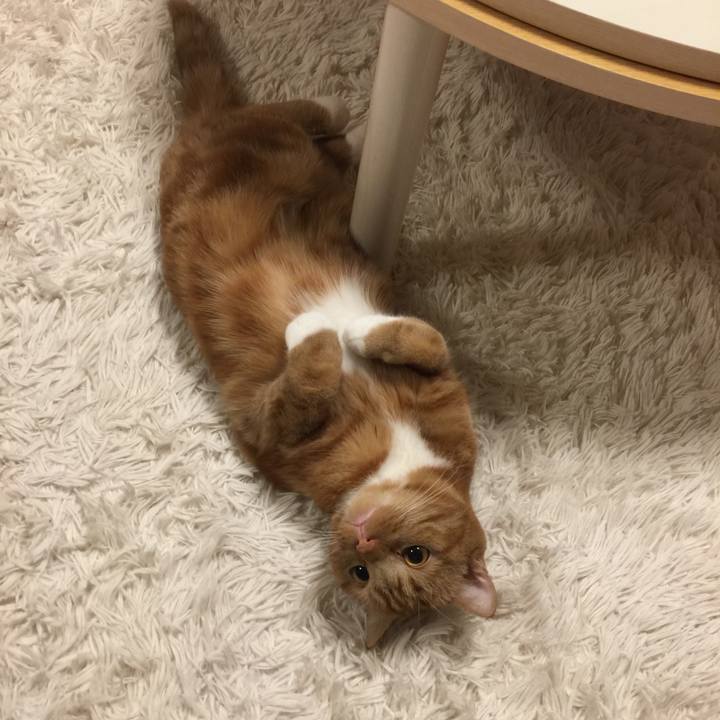 E75a7b88 06d6 47c4 8ba1 80be35613a74 1542240749455