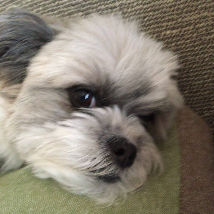 E75a8278 6444 4596 8891 6422f65042a0 1526518296110