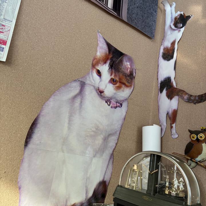 E75aa626 ca0e 4c26 ba81 9f953639f071 1768625284709