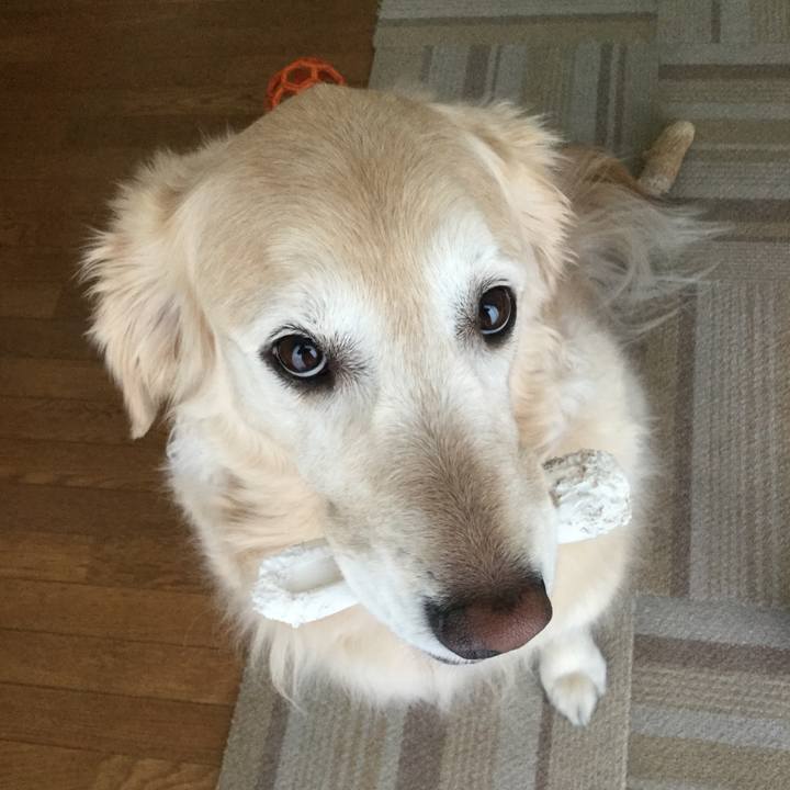 E75acb2a da61 402a b1c3 aab101bacfcc 1555056340109