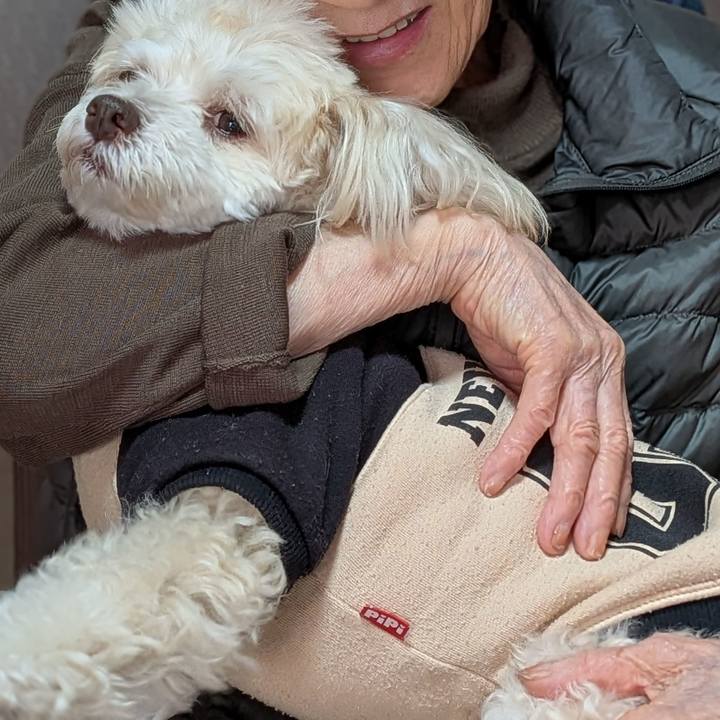 E75aebb1 36e2 4166 a582 a25ed6c3b3f6 1762420666162