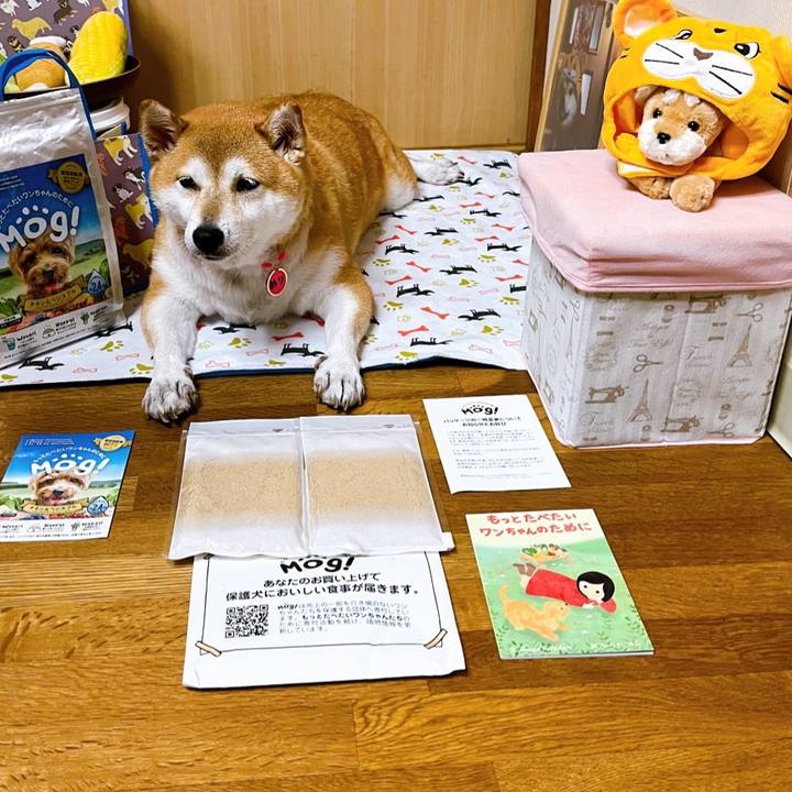 E75b0002 dfee 4b6b bee2 1742fbbd6987 1662280422133