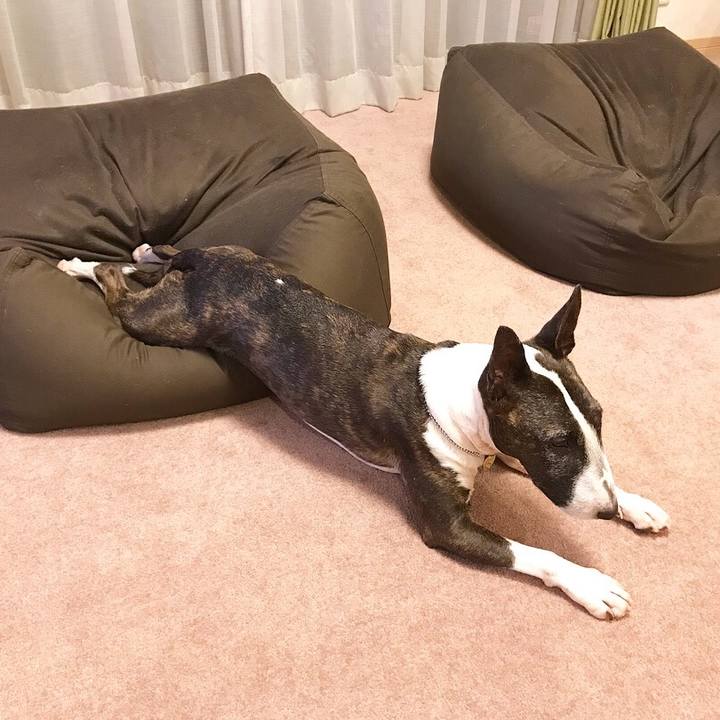 E75b0316 b6ea 4cd4 a17c d8bfb3f03fcf 1528291315264