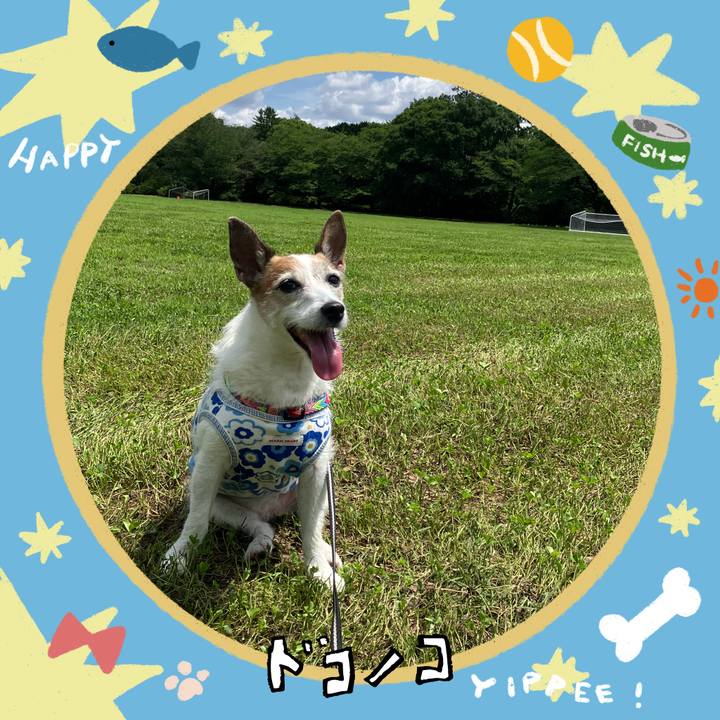 E75b2e07 ac17 4521 9f49 a0004f738d7f 1721003821864