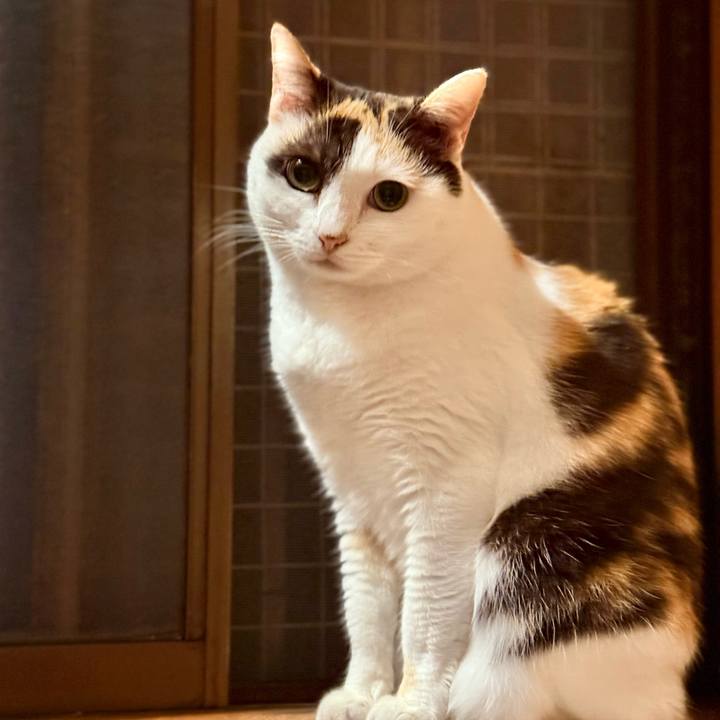 E75b5059 d56e 4717 97b4 ea5d948c0c26 1727400302708