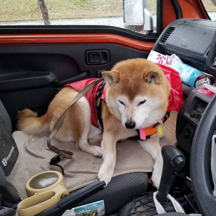 E75b54fb 1d83 45a1 a90f 7fbea066b7a7 1669180757643