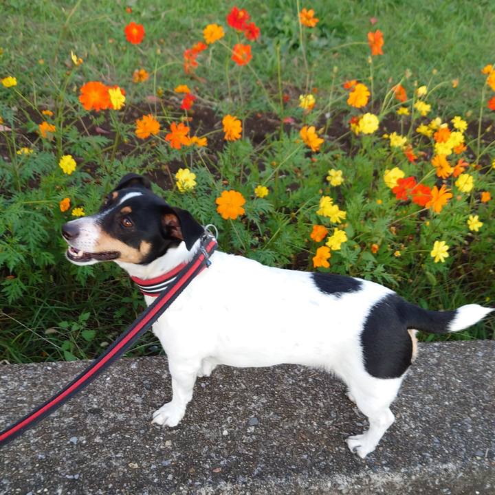 E75b6697 aa57 40ce 8be3 1bc923ec585a 1698582855043