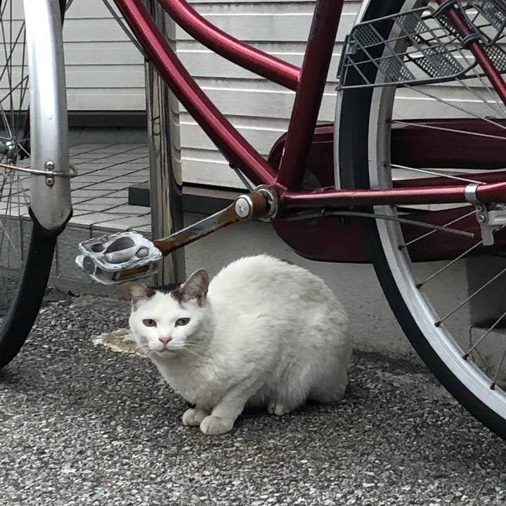 E75b824a 75dc 4128 a6d8 c41c1a01534a 1527860541807