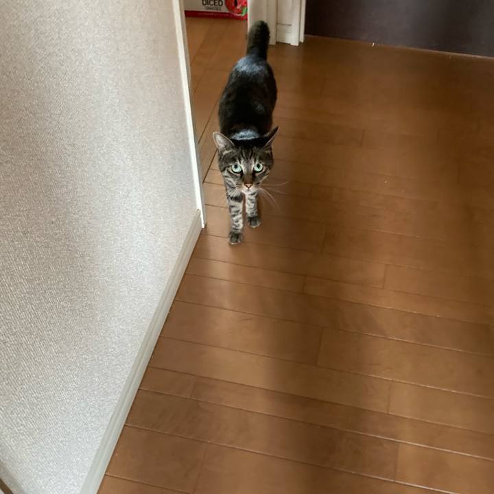 E75b82d9 7901 4f90 9a0e 9c29a5a7a93c 1658467687668