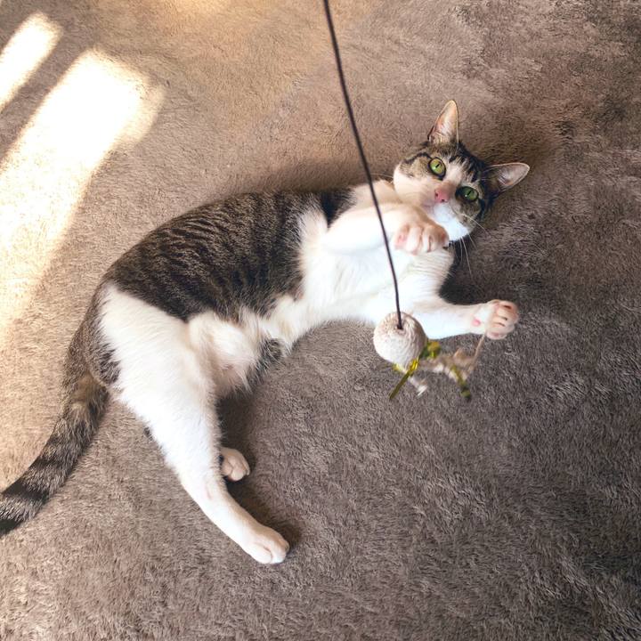 E75b84e0 6acd 4dee a0a2 8a72739abfbf 1552954010526