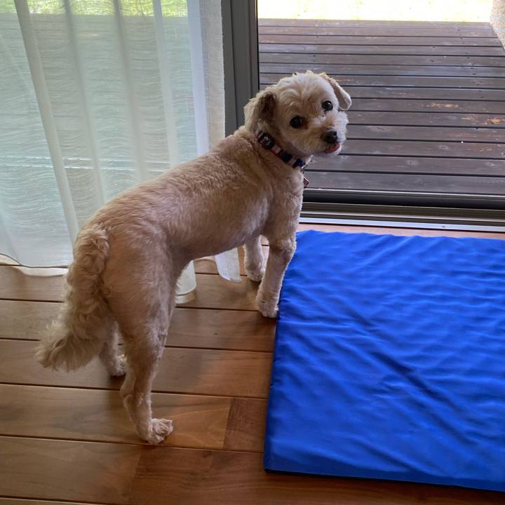 E75b8d88 2828 42d9 8aee 993af75b6613 1626750816221