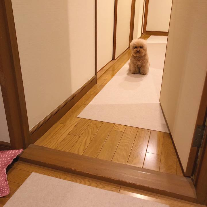 E75bc1c0 fe38 4467 952a 6fd733f85491 1542364746339