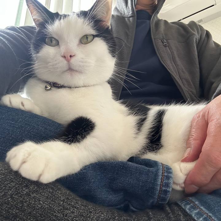 E75bce6c 7121 4877 930d df7d50a72541 1762212545769