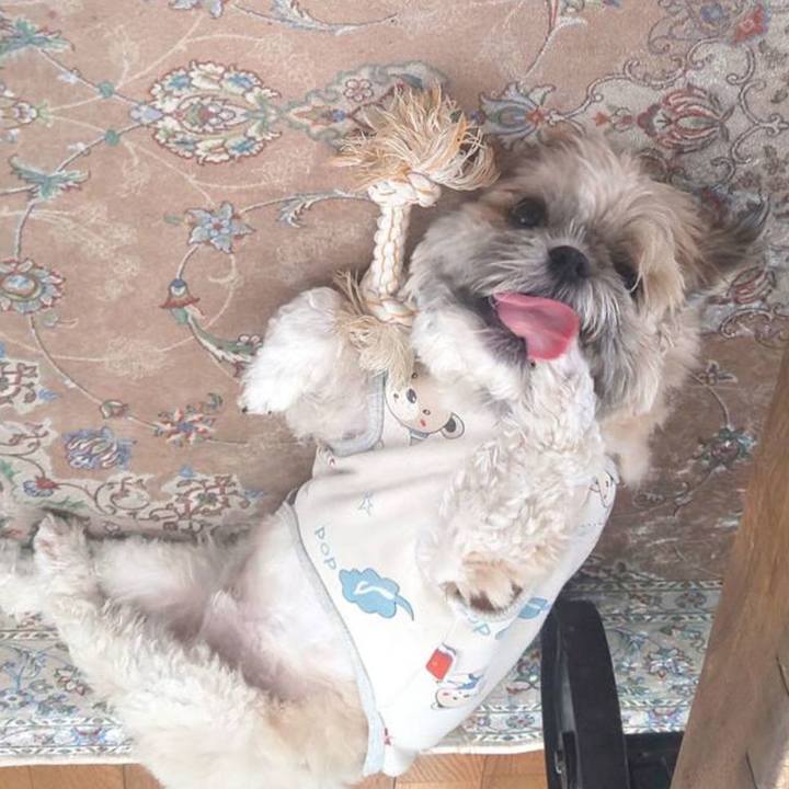 E75be1c4 e2c8 4043 b498 9311d619855c 1773120273619